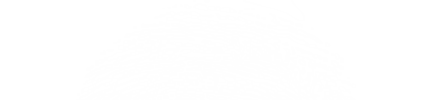 Kriecherl.at